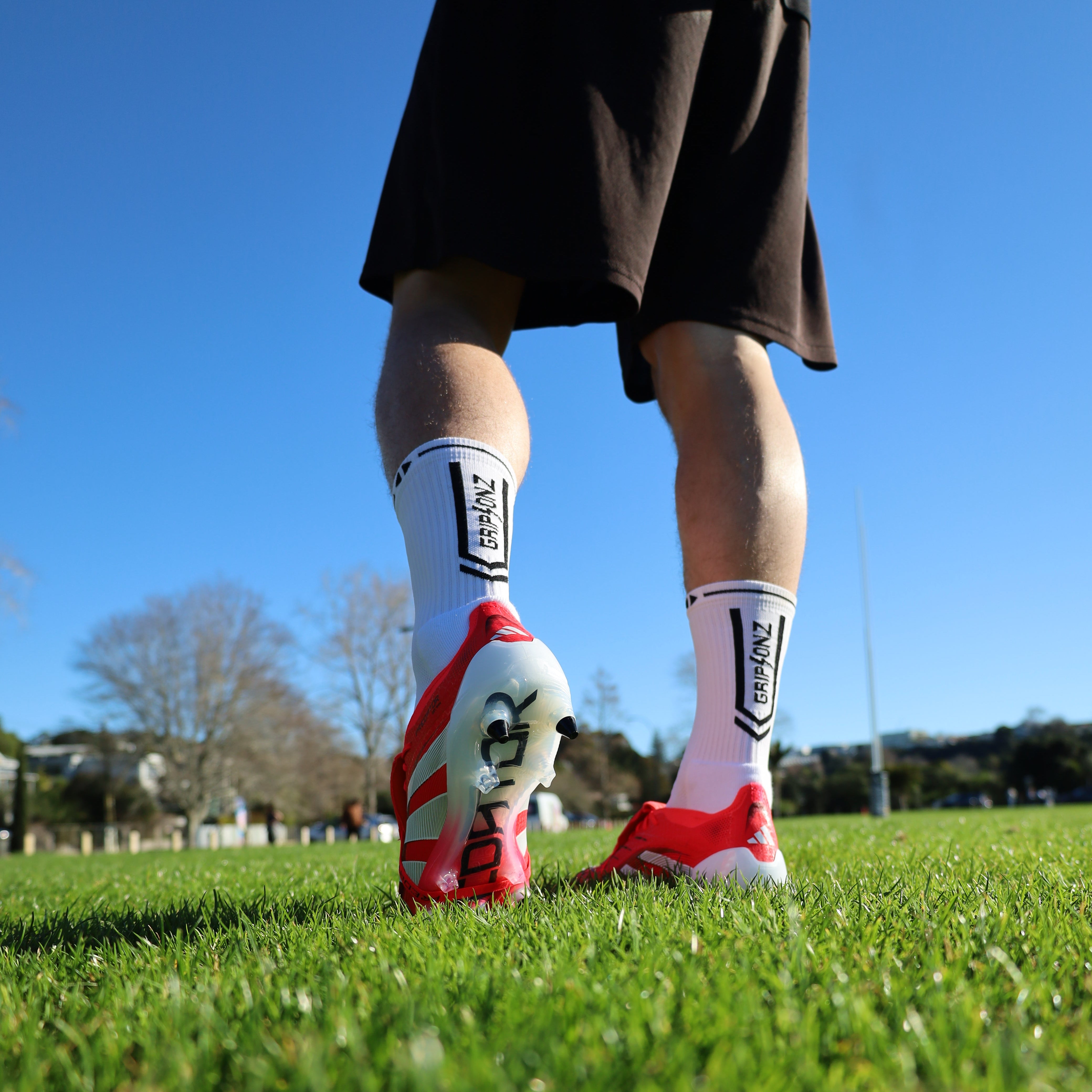 IMG_4817.JPG__PID:66f48b11-38f6-4e23-bd05-bc29cef79d41